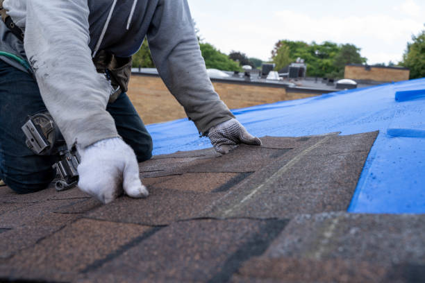 Best Residential Roofing Contractor  in Hamburg, NJ