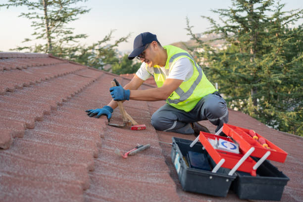 Best Sealant for Roof  in Hamburg, NJ