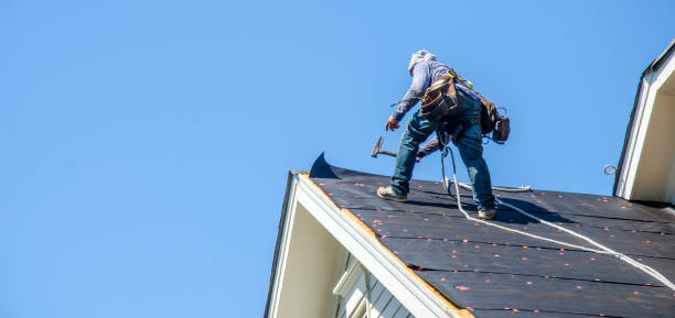 Best Roof Replacement Cost  in Hamburg, NJ